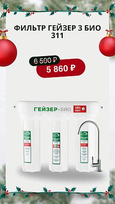 Гейзер Био 311